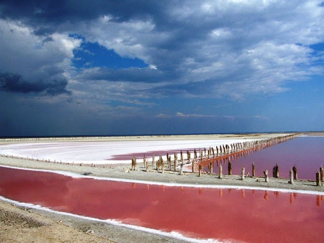 Производитель натуральной морской соли Крыма. Морская соль оптом